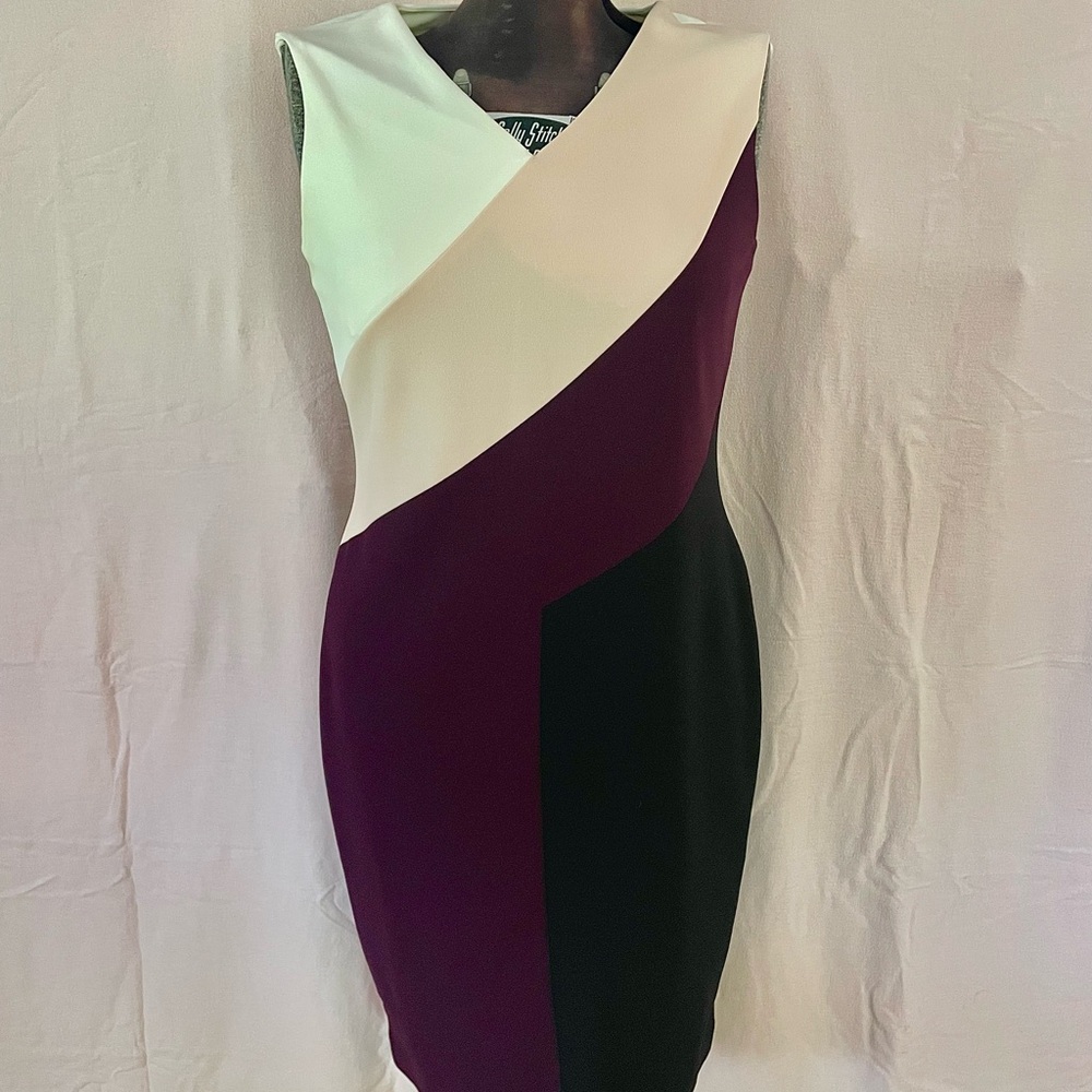 Calvin Klein Plum and Black Colored Block Dress